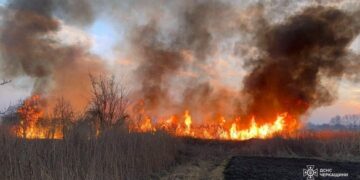 На Черкащині протягом дня сталося 70 пожеж