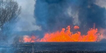 На Черкащині протягом доби вигоріло понад 12 гектарів території 