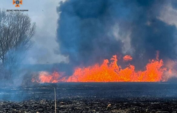 На Черкащині протягом доби вигоріло понад 12 гектарів території