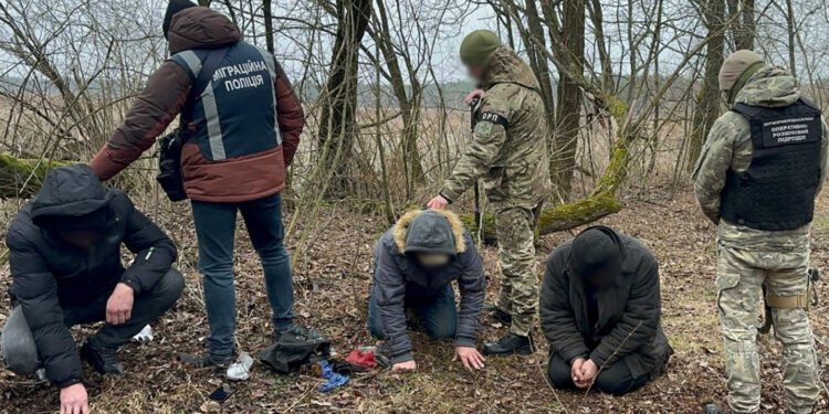 На Житомирщині майстер лісгоспу переправляв через кордон за 4 тис дол: справа в суді | Журнал Житомира