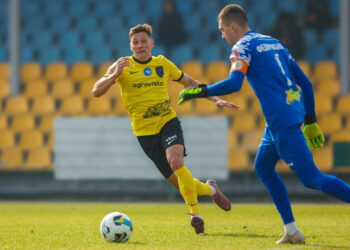 «Олександрія» повторила клубне топ-досягнення по тривалості безпрограшної серії вдома