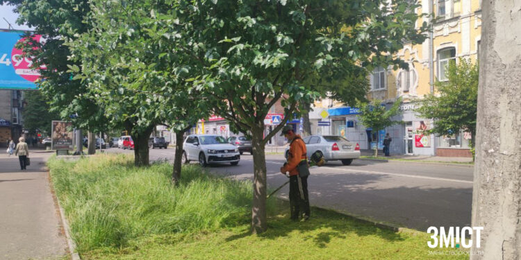 Покіс трави 2025: запланували витратити 5 млн грн у Полтаві