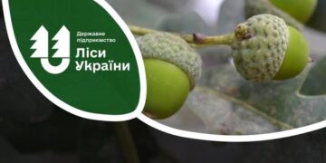 Понад 350 вакансій різного направлення: у філії «Центральний лісовий офіс» шукають працівників — Новини Черкащіни