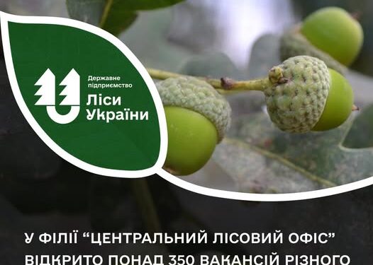 Понад 350 вакансій різного направлення: у філії «Центральний лісовий офіс» шукають працівників — Новини Черкащіни