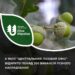 Понад 350 вакансій різного направлення: у філії «Центральний лісовий офіс» шукають працівників — Новини Черкащіни