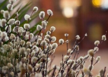 Прогноз погоди на 27 та 28 березня у Запоріжжі – що очікувати містянам | Новости Запорожья