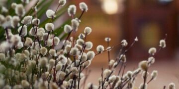 Прогноз погоди на 27 та 28 березня у Запоріжжі – що очікувати містянам  | Новости Запорожья