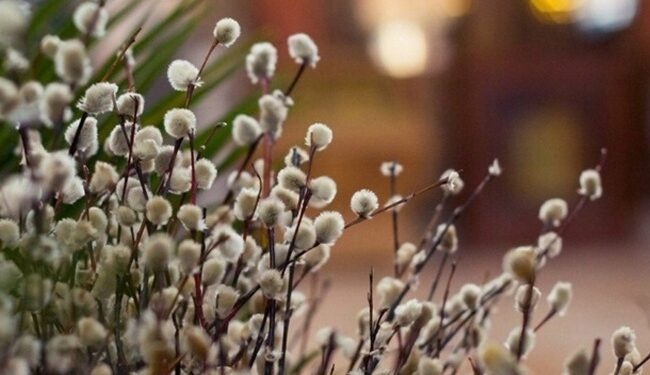 Прогноз погоди на 27 та 28 березня у Запоріжжі – що очікувати містянам | Новости Запорожья