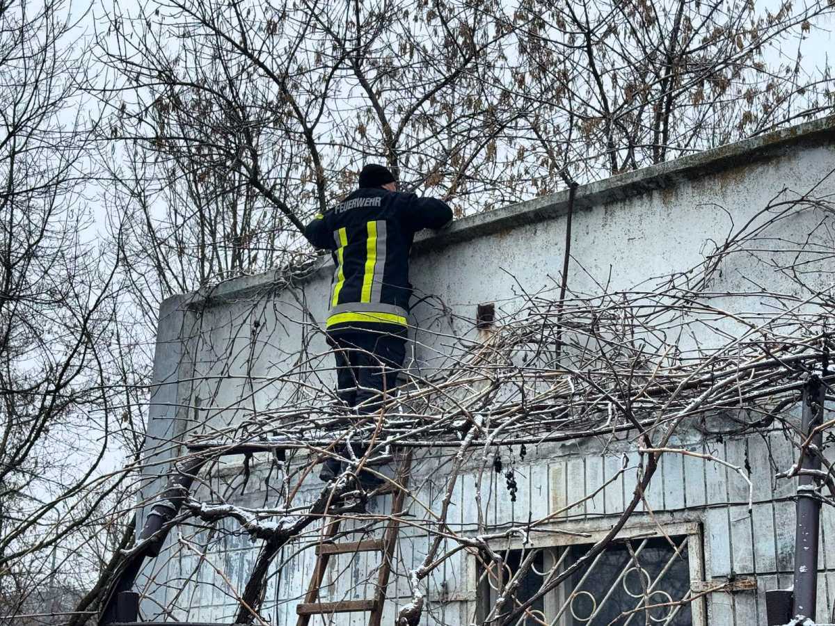 Один із районів Запоріжжя потерпає від арок - у чому причина