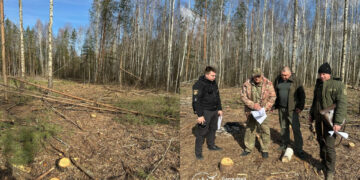 Розліснювали агроземлі та вирубали зайві дерева: екологи нарахували збитків на понад 500 тис грн | Журнал Житомира