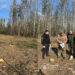 Розліснювали агроземлі та вирубали зайві дерева: екологи нарахували збитків на понад 500 тис грн | Журнал Житомира