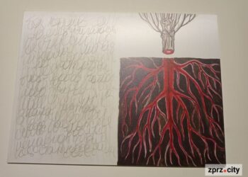 Скільки вимушених переселенціа живе у Запорізькій області – ВПО із Запорізького, Василівського, Пологівського районів | Новости Запорожья