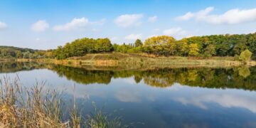 Ставки на Рибцях здаватимуть в оренду під зони відпочинку