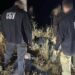 Судитимуть двох жителів Полтавського району, які коригували ракетні удари на замовлення Росії