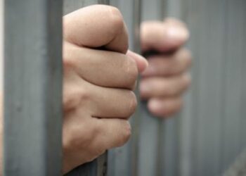 У Львові суд продовжив арешт підозрюваного у вбивстві Фаріон – RegioNews.ua