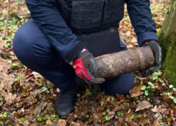 У одному з парків Києва чоловік знайшов боєприпас