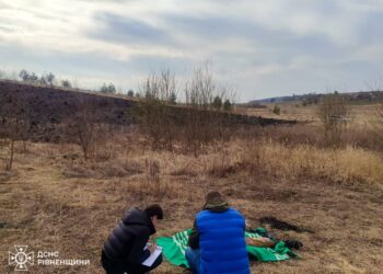 У Рівненському районі під час пожежі в сухостої згорів чоловік