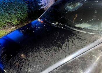 У Рівному на Буковинській спалили авто: поліцейські встановлюють причетних