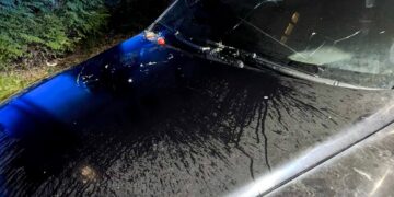 У Рівному на Буковинській спалили авто: поліцейські встановлюють причетних