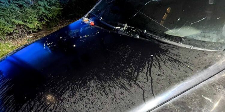 У Рівному на Буковинській спалили авто: поліцейські встановлюють причетних