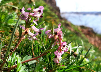 У Запоріжжі 14 березня зафіксували чергові температурні рекорди – перевищили показники 2014 року | Новости Запорожья