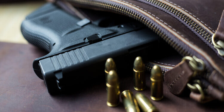 Українці зможуть отримувати дозвіл на зброю у «Дії» без зайвих документів – Экономика