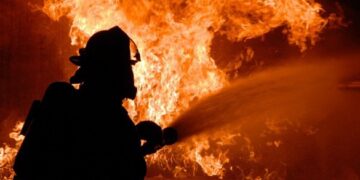 Вигоріло близько 300 гектарів: на Черкащині встановлено антирекорд за кількістю пожеж