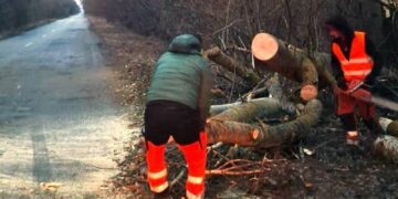 Внаслідок негоди зламані дерева падали на проїжджу частину державних доріг —Хмельнитчина
