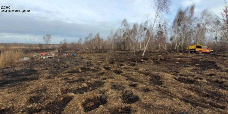 За минулу добу рятувальники 31 раз гасили суху траву | Журнал Житомира