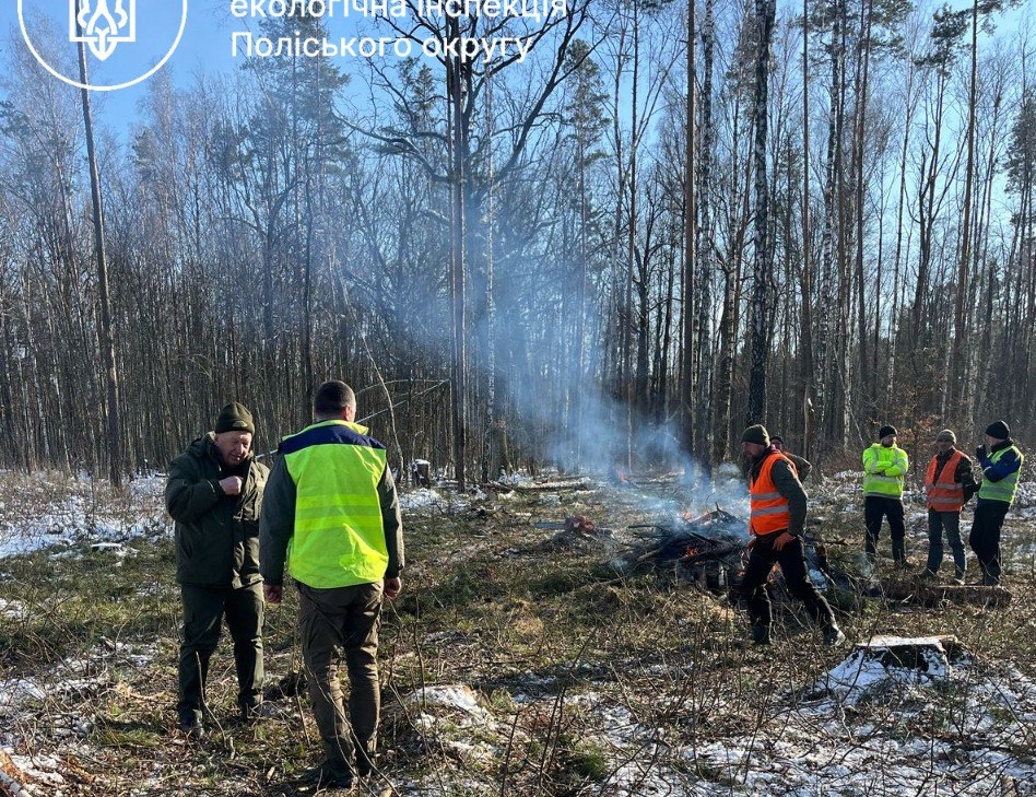 За випалювання порубки в лісі на Житомирщині екологи оштрафували трьох громадян