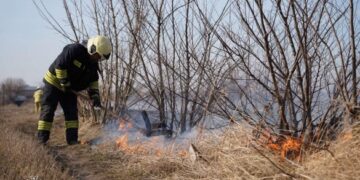 Залучені 22 рятувальники: у Черкаському районі ліквідовують пожежу