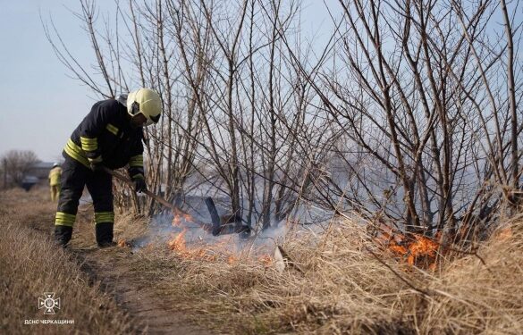 Залучені 22 рятувальники: у Черкаському районі ліквідовують пожежу