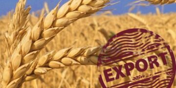 Аналітики збільшили прогноз експорту пшениці для України – ЭКОНОМИКА