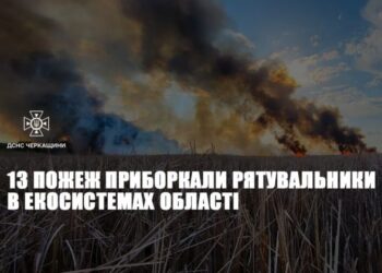 13 пожеж приборкали рятувальники в екосистемах області — Новости Черкасс