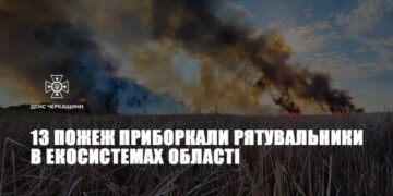 13 пожеж приборкали рятувальники в екосистемах області — Новости Черкасс