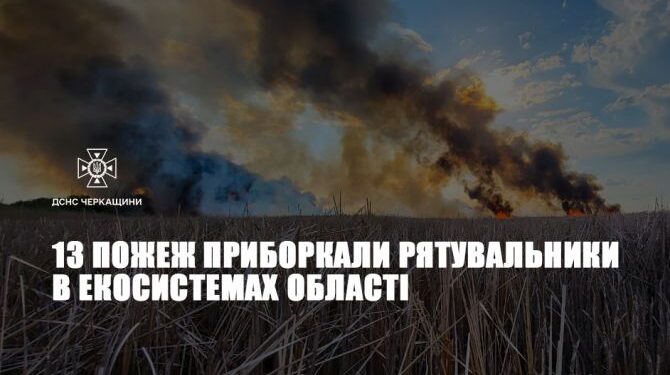 13 пожеж приборкали рятувальники в екосистемах області — Новости Черкасс
