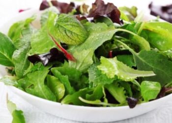 Представлено нову лінійку тепличних продуктів для здорового харчування – ЭКОНОМИКА