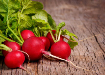 Стало відомо, чим корисна редиска для організму – ЭКОНОМИКА