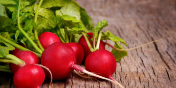 Стало відомо, чим корисна редиска для організму – ЭКОНОМИКА