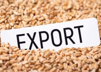 Експорт української агропродукції у березні досяг 2,1 млрд дол США – ЭКОНОМИКА