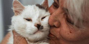 5 квітня: як минула у Сумах і Сумській області субота – Область – Сумские новости