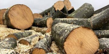 Активізувались псевдопродавці дров: постраждало двоє жителів Шепетівщини —Хмельнитчина