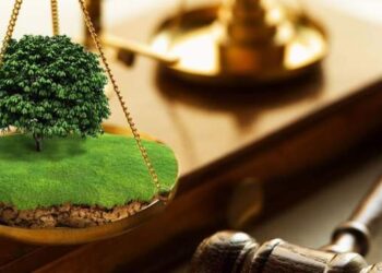 Чиновника з Херсонщини викрили на земельних махінаціях :: Інтент :: Суспільно-політичне видання:: Регіональна мережа якісної журналістики