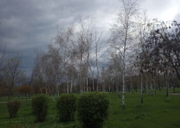 Яка погода буде у Запоріжжі 24, 25 квітня – прогноз | Новости Запорожья