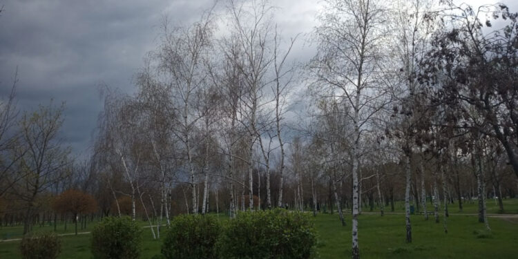 Яка погода буде у Запоріжжі 24, 25 квітня – прогноз | Новости Запорожья