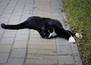 Яка погода буде у Запоріжжі наприкінці робочого тижня – прогноз на 17, 18 квітня. | Новости Запорожья