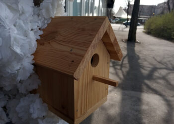 Яка погода буде у Запоріжжі у вихідні – прогноз на 29 та березня | Новости Запорожья