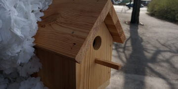 Яка погода буде у Запоріжжі у вихідні – прогноз на 29 та березня | Новости Запорожья