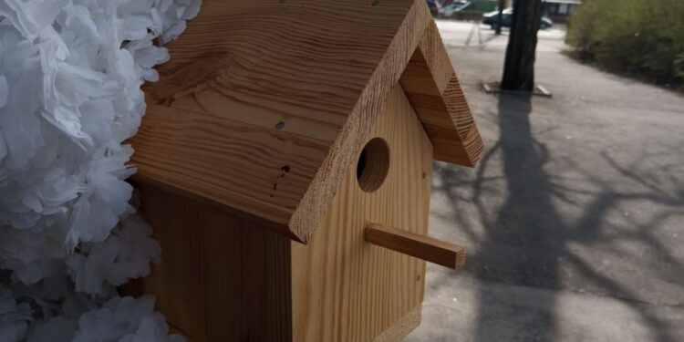 Яка погода буде у Запоріжжі у вихідні – прогноз на 29 та березня | Новости Запорожья