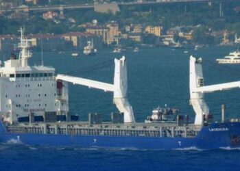 Капітана іноземного судна викрили на вивезенні з Криму українського зерна :: Інтент :: Суспільно-політичне видання:: Регіональна мережа якісної журналістики